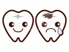 健康な歯と虫歯
